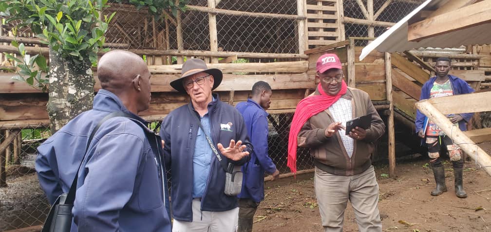 fruits in a packhouse