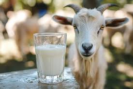 fruits in a packhouse