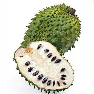 Soursop (Graviola)