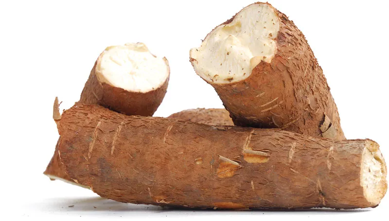 Fresh Cassava