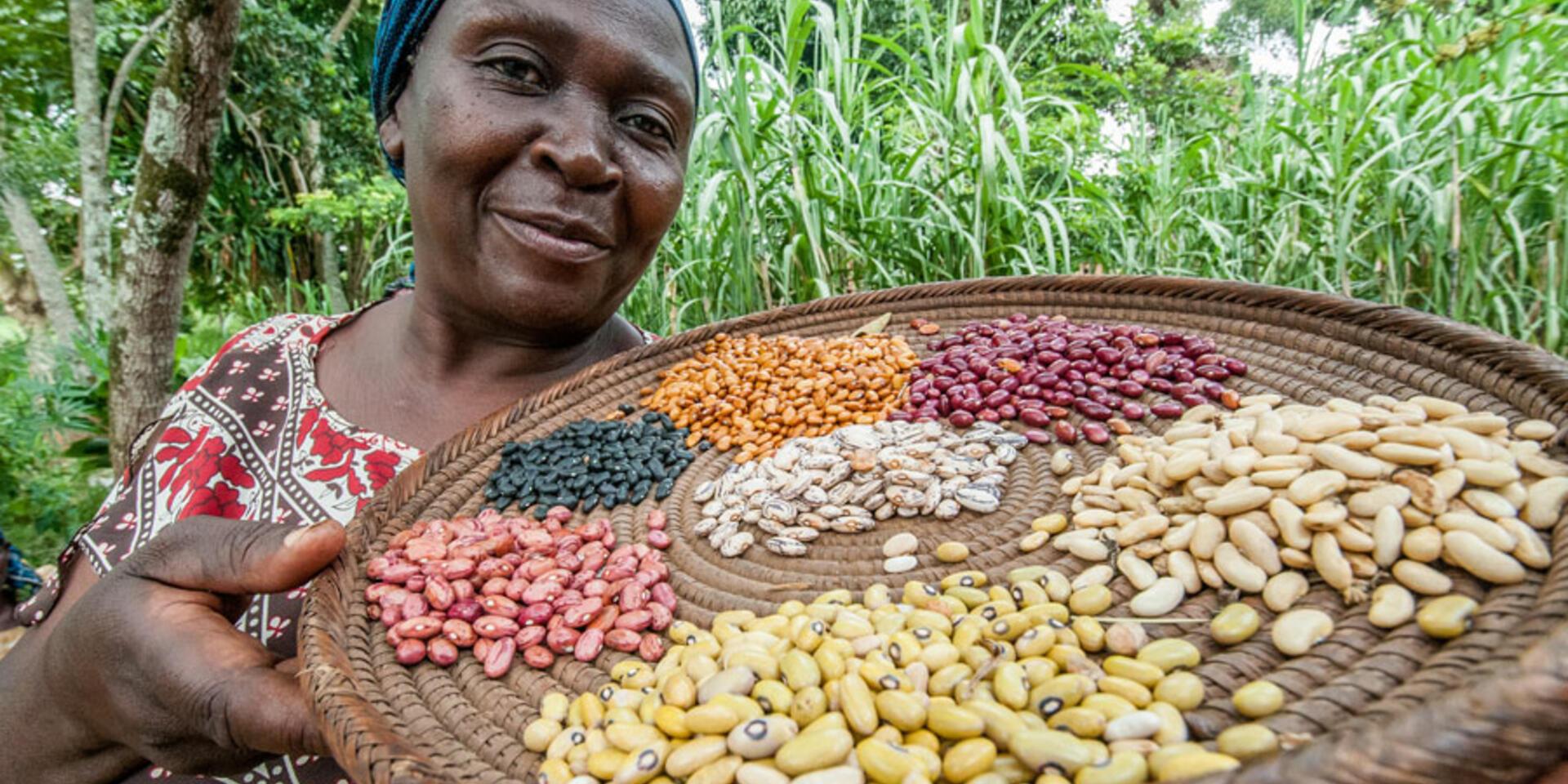 Dry Beans (Mixed Varieties)