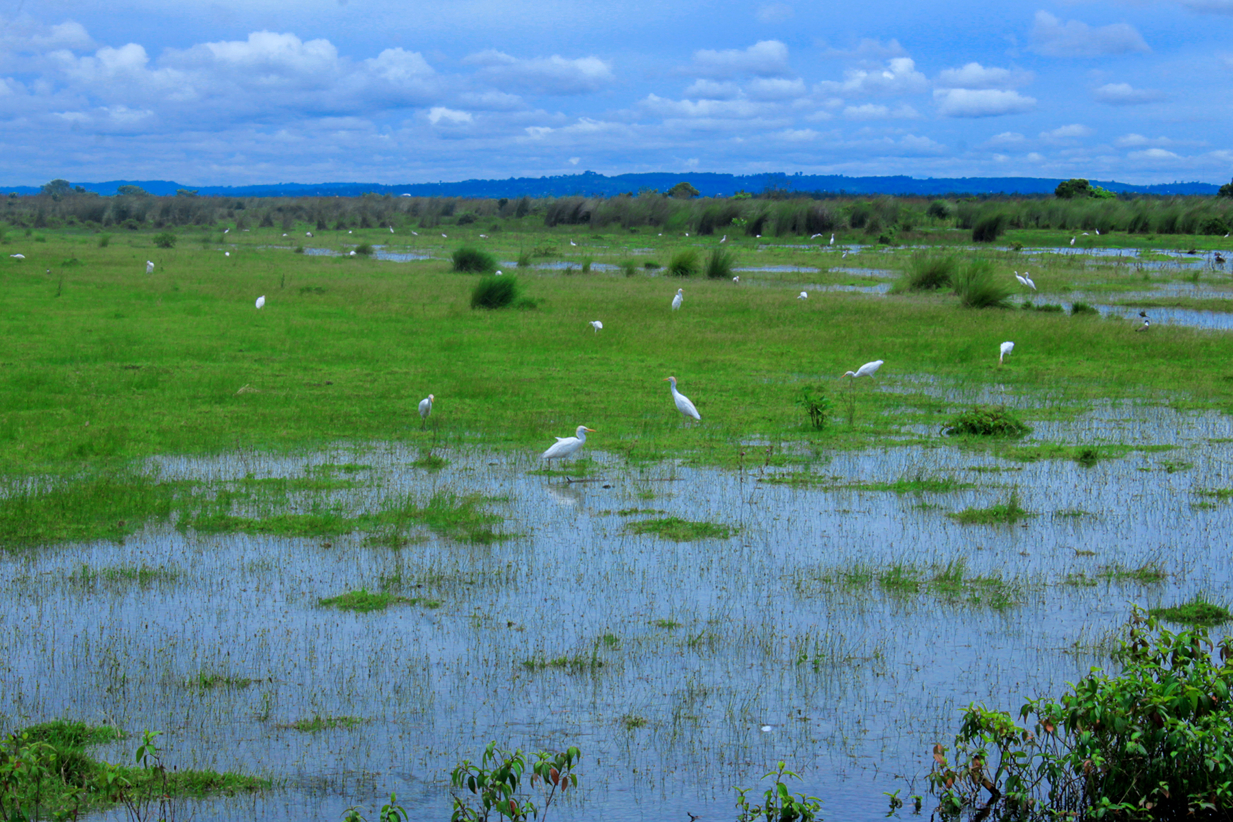 Climate Change Mitigation and Adaptation