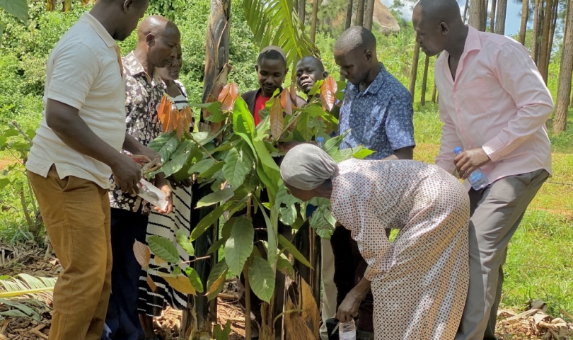 Community Empowerment
