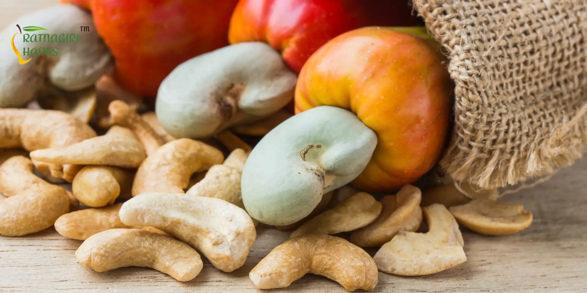 cashew nut growth